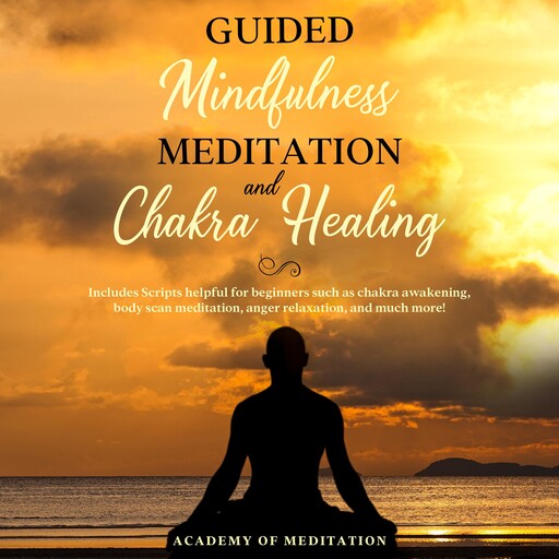 Guided Mindfulness Meditation And Chakra Healing, Academy Of Meditation