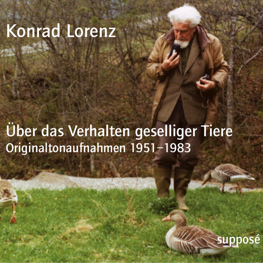 Über das Verhalten geselliger Tiere, Konrad Lorenz
