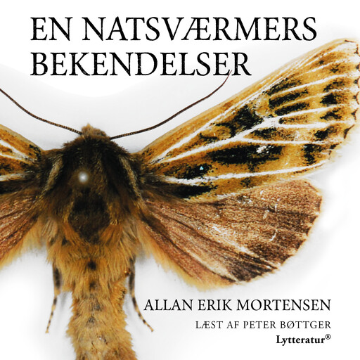 En natsværmers bekendelser, Allan Erik Mortensen