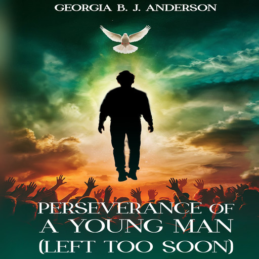 Perseverance Of A Young Man, Georgia B.J. Anderson