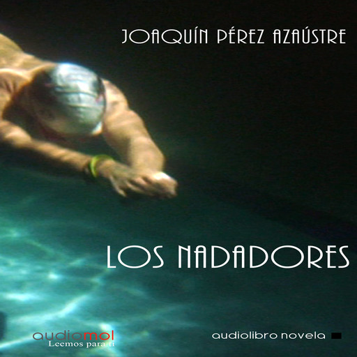 Los nadadores, Joaquín Pérez Azaústre