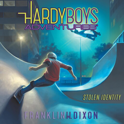 Stolen Identity, Franklin Dixon