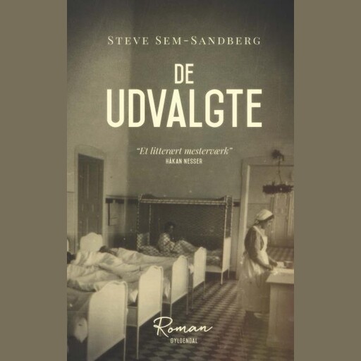 De udvalgte, Steve Sem-Sandberg