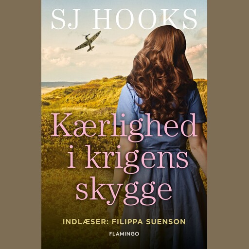 Kærlighed i krigens skygge, Sj Hooks