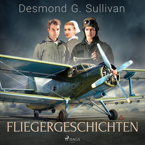Fliegergeschichten, Desmond G. Sullivan