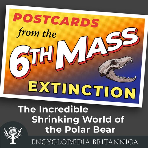 The Incredible Shrinking World of the Polar Bear, John Rafferty