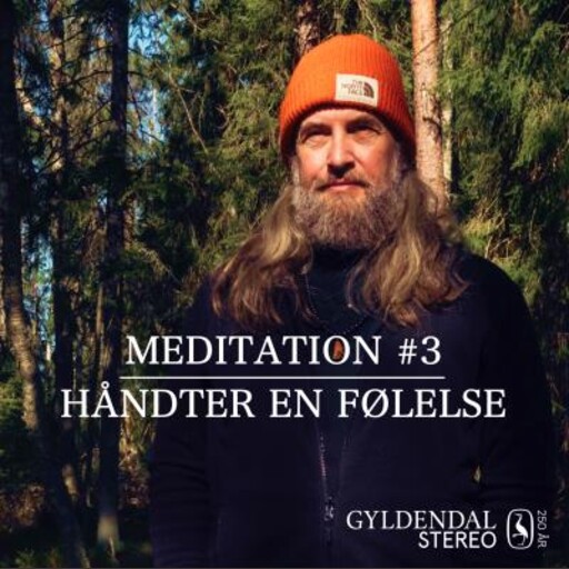 Håndter En Følelse, Jesper Westmark
