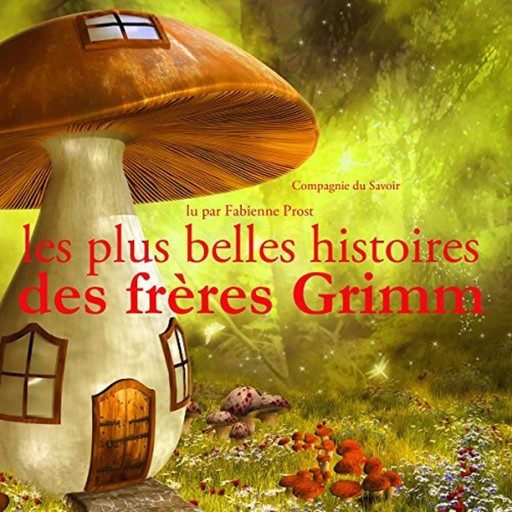 Les Plus Belles Histoires des frères Grimm, Frères Grimm