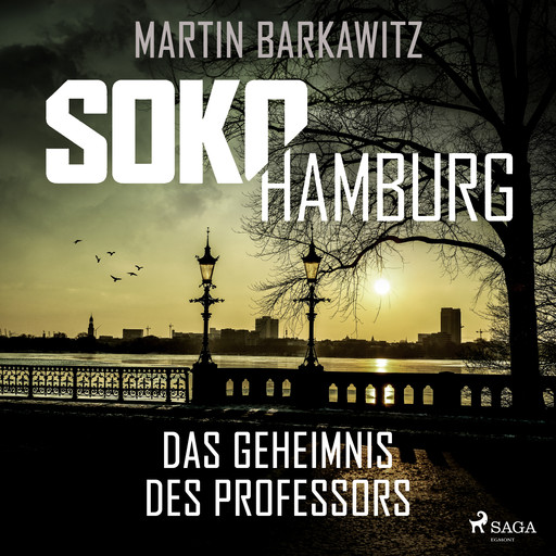 SoKo Hamburg: Das Geheimnis des Professors (Ein Fall für Heike Stein, Band 9), Martin Barkawitz