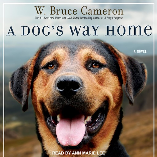 A Dog's Way Home, W.Bruce Cameron