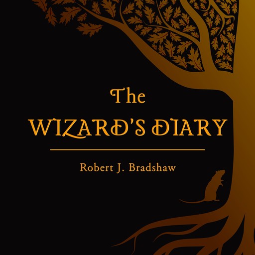 The Wizard's Diary Audiobook (Book 1), Robert J. Bradshaw