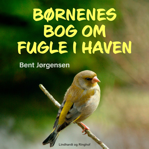 Børnenes bog om fugle i haven, Bent Jörgensen