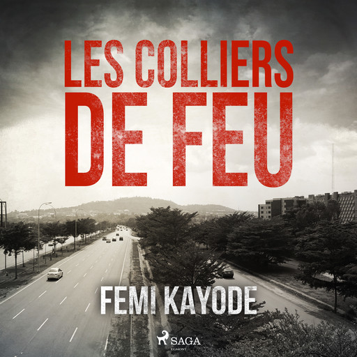 Les Colliers de feu, Femi Kayode