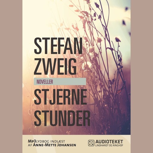 Stjernestunder, Stefan Zweig