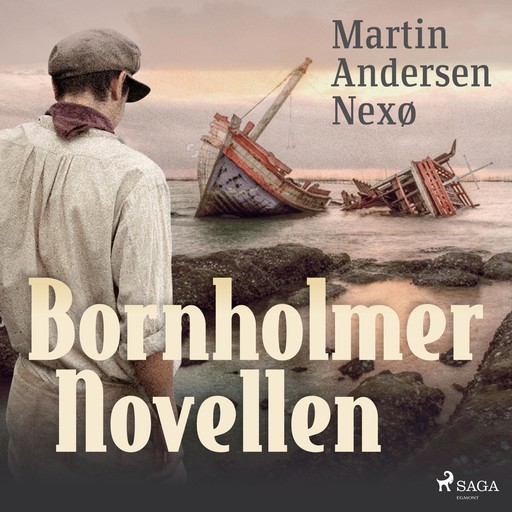 Bornholmer Novellen (Ungekürzt), Martin Andersen Nexø