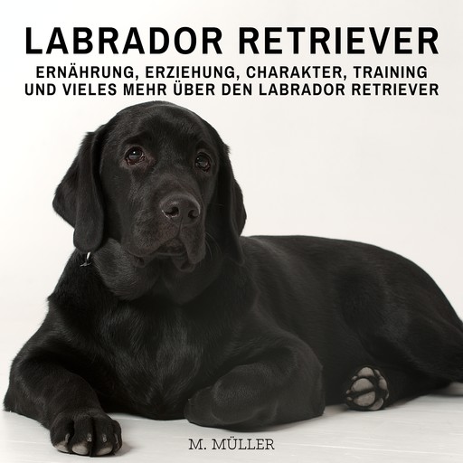 Labrador Retriever, Müller