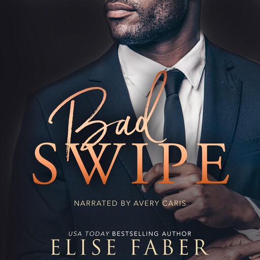Bad Swipe, Elise Faber