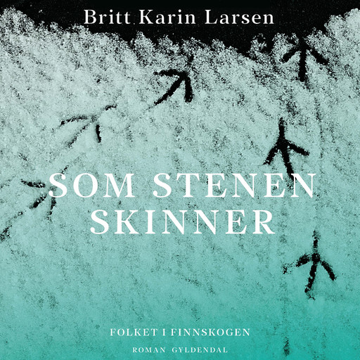 Som stenen skinner, Britt Karin Larsen