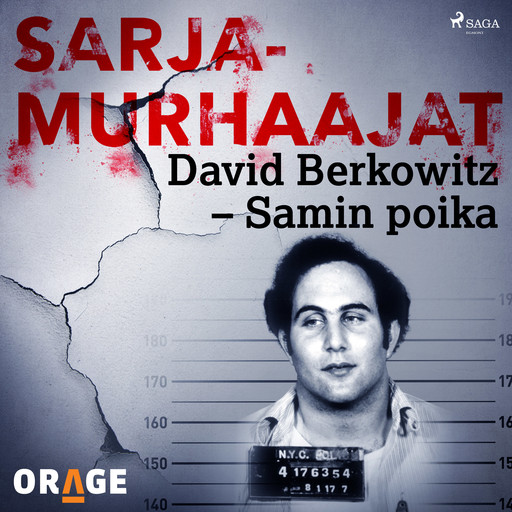 David Berkowitz – Samin poika, Orage