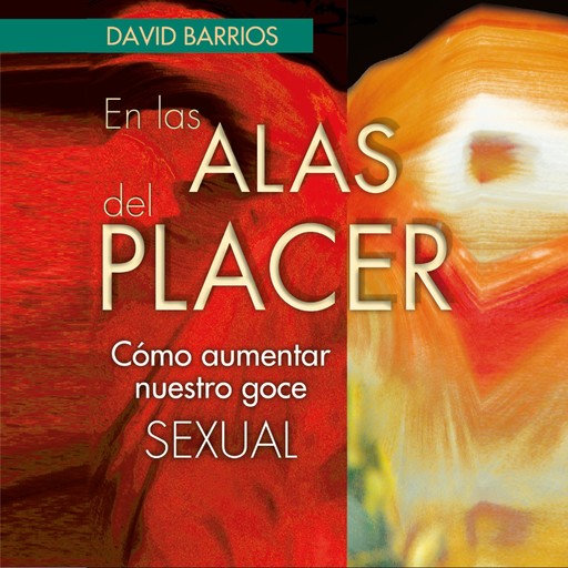 En las alas del placer, José Francisco David Barrios Martínez