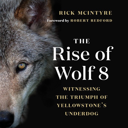 The Rise of Wolf 8, Rick McIntyre, Robert Redford