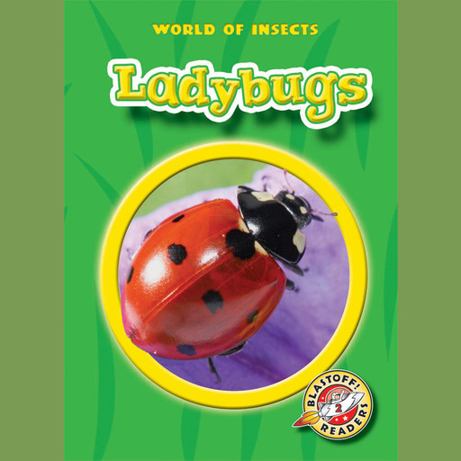 Ladybugs, Martha Rustad