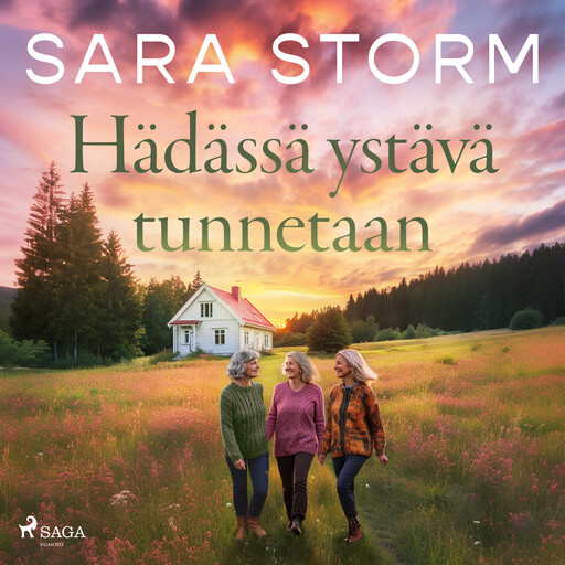 Hädässä ystävä tunnetaan, Sara Storm