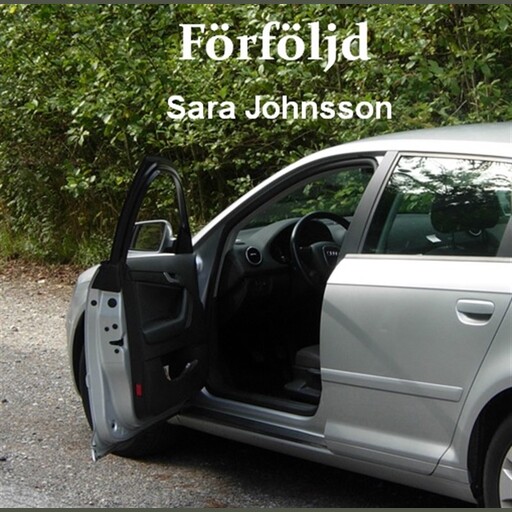 Förföljd, Sara Johnsson