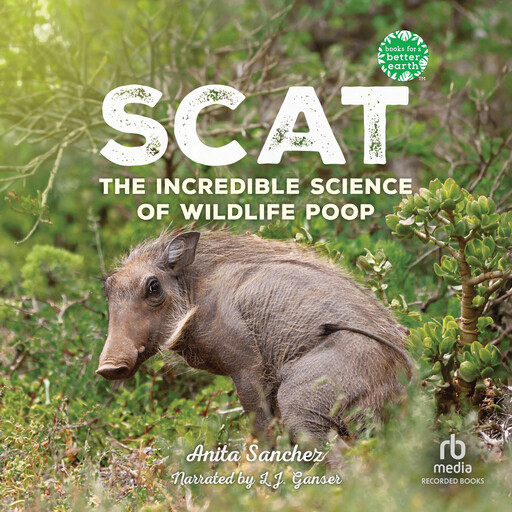 Scat, Anita Sanchez