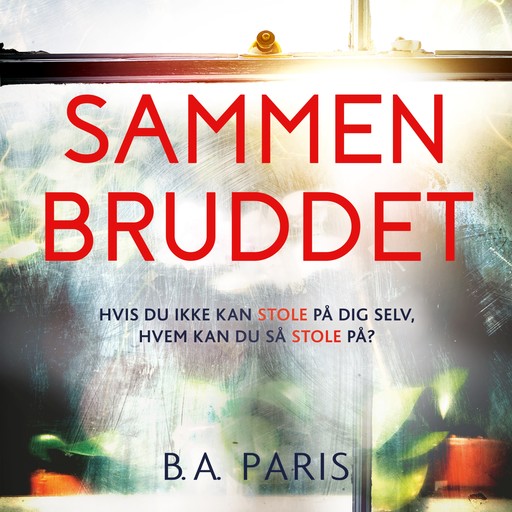 Sammenbruddet, B.A. Paris