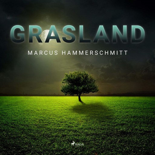 Grasland (Ungekürzt), Marcus Hammerschmitt