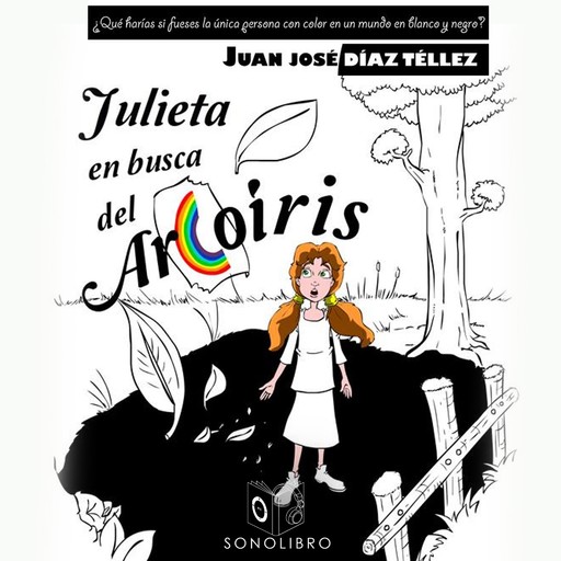 Julieta en busca del arco iris - dramatizado, Juan José Díaz Téllez