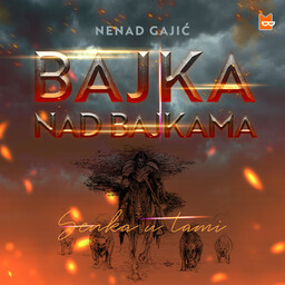 „Nenad Gajić“ – polica za knjige, Bookmate