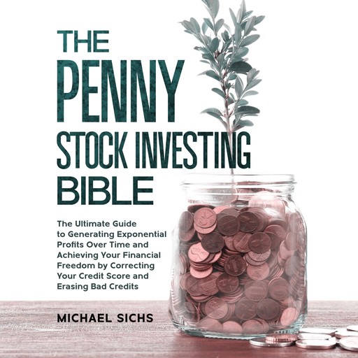 The Penny Stock Investing Bible, Michael Sichs