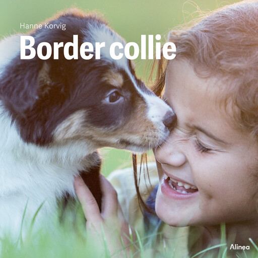 Border collie, Grøn Fagklub, Hanne Korvig