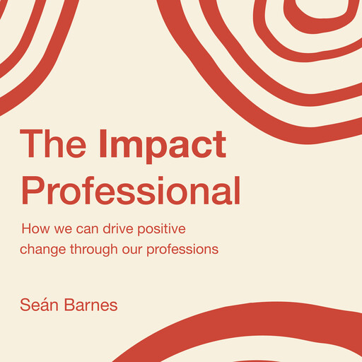 The Impact Professional, Seán Barnes
