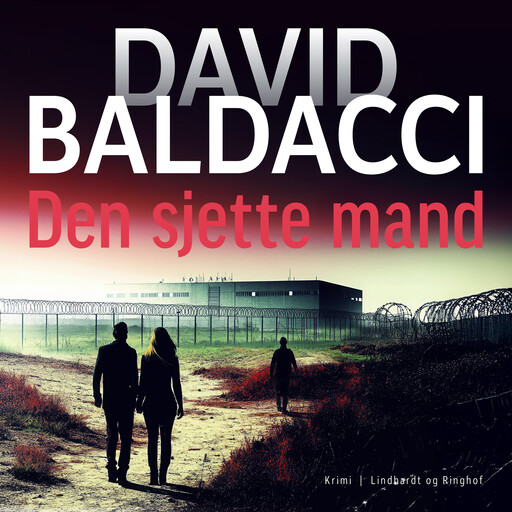 Den sjette mand, David Baldacci