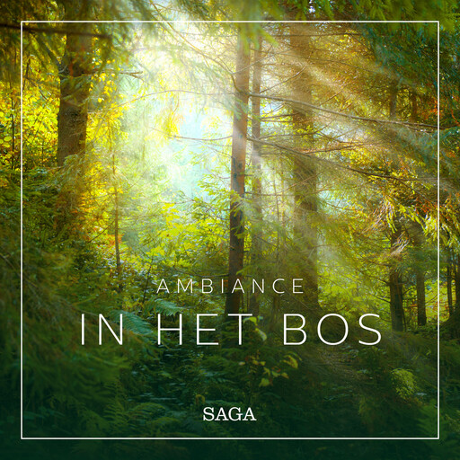 Ambiance – In het Bos, Rasmus Broe