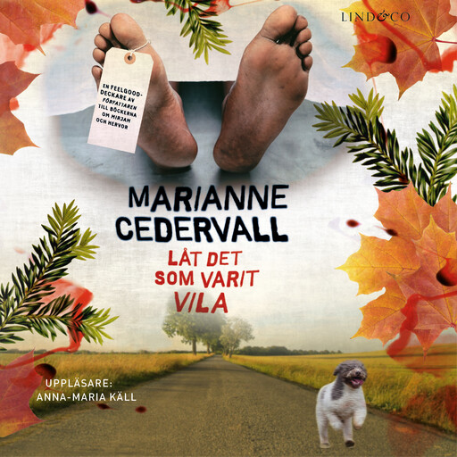 Låt det som varit vila, Marianne Cedervall