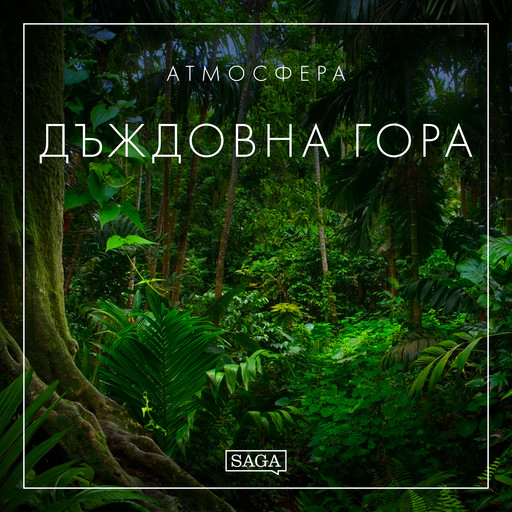 Атмосфера - Дъждовна гора, Rasmus Broe