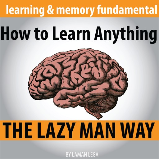 How to Learn Anything the Lazy Man Way, Hayden Kan