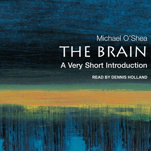 The Brain, Michael O’Shea