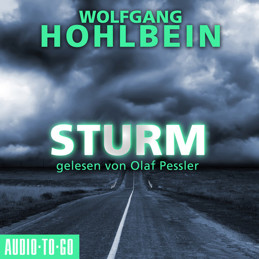 Sturm (Gekürzt), Wolfgang Hohlbein