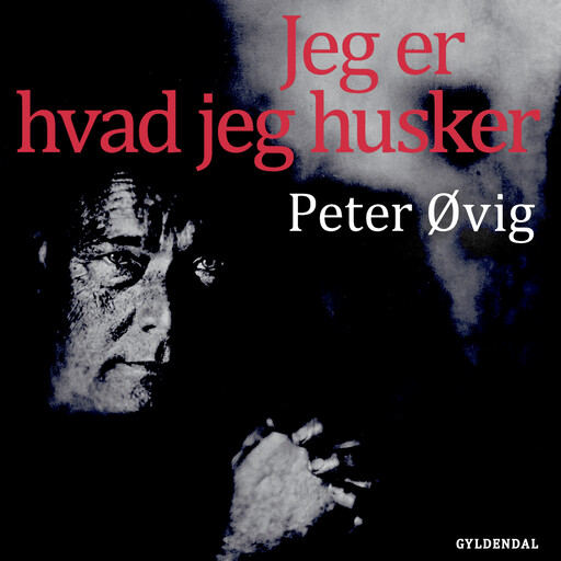 Jeg er hvad jeg husker, Peter Øvig Knudsen