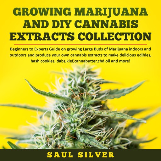 Growing Marijuana and DIY Cannabis Extracts Collection, Saul Silver