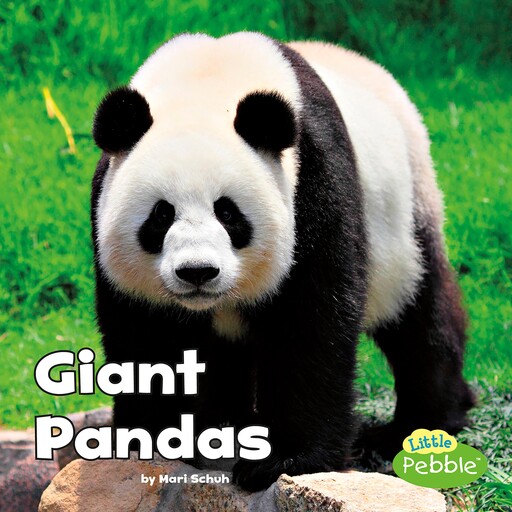 Giant Pandas, Mari Schuh