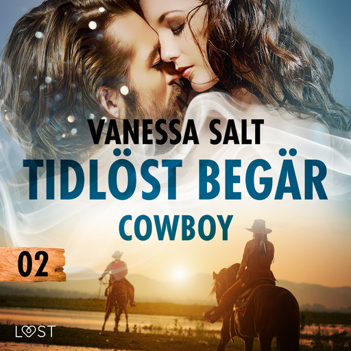 Tidlöst begär 2: Cowboy - erotisk novell, Vanessa Salt