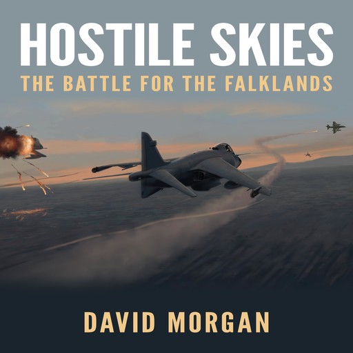 Hostile Skies, David Morgan