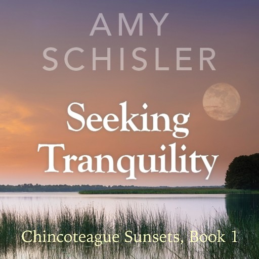 Seeking Tranquility, Amy Schisler