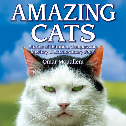 Amazing Cats - Stories of Intuition, Compassion, Mystery & Extraordinary Feats (Unabridged), Omar Mouellam